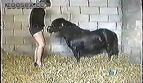 Cuzao gostoso empinado e pica torando na buceta melada - pónei,sexo de cachorro
